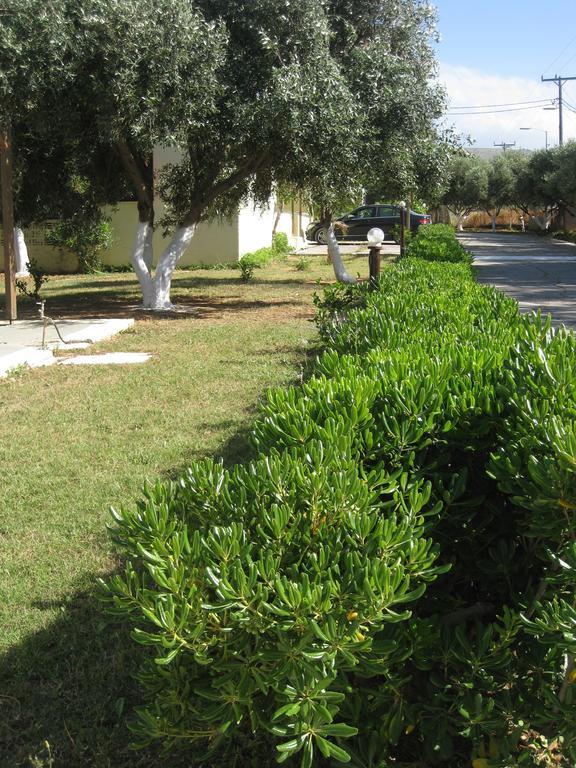 Creta Camping Γούβες Εξωτερικό φωτογραφία